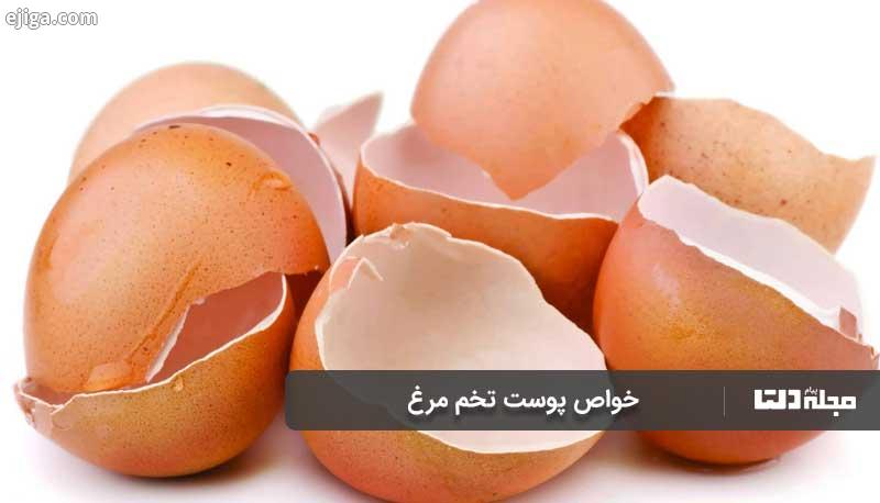 خواص پوست تخم مرغ چیست