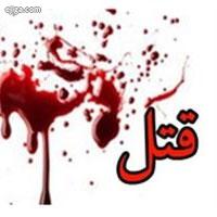 سالیانه چند نفر در تهران به قتل می‌رسند؟