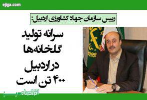 سرانه تولید گلخانهها در اردبیل ۴۰۰ تن است سرانه تولید گلخانهها در اردبیل ۴۰۰ تن است
