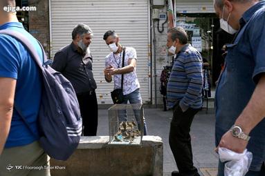 تهران در آستانه آغاز محدودیت های پیک چهارم کرونا تهران در آستانه آغاز محدودیت های پیک چهارم کرونا