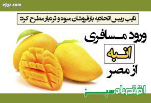 ورود مسافری انبه از مصر