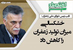 خشکسالی میزان تولید زعفران را کاهش داد