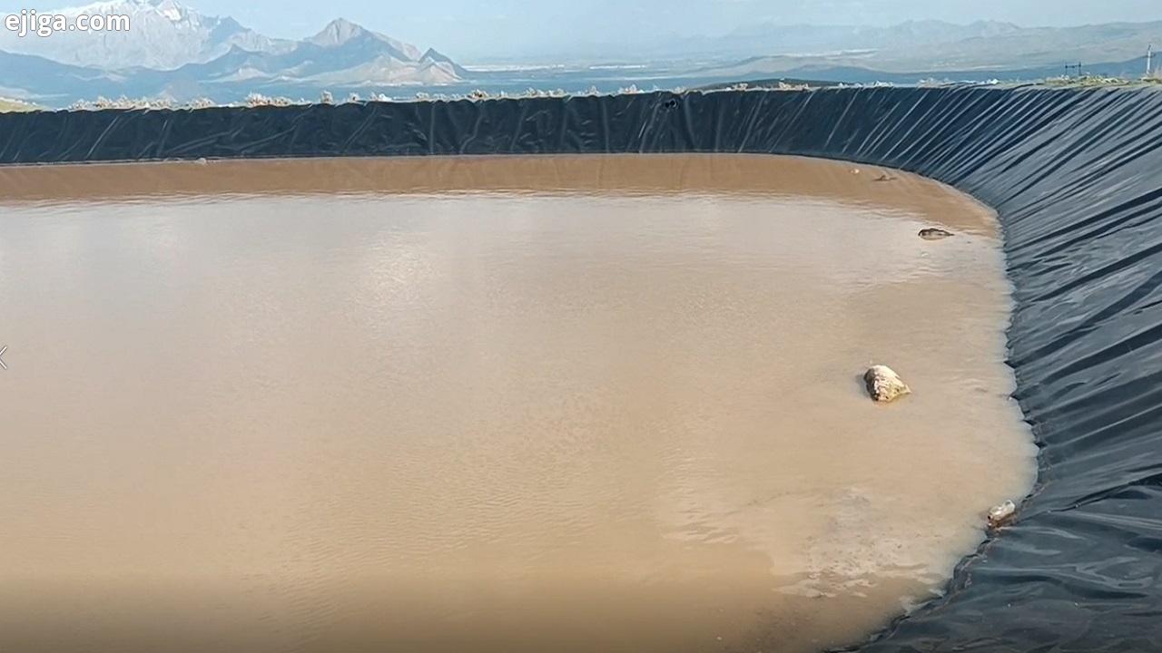 مشکل ساز شدن حوضچه برای گوسفندان در حوالی آرمگاه ویس نازار + فیلم