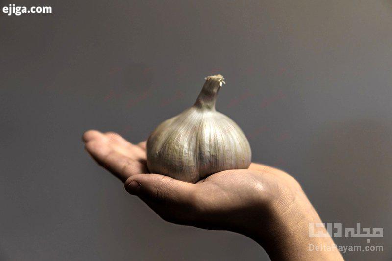 کاربردهای عجیب سیر