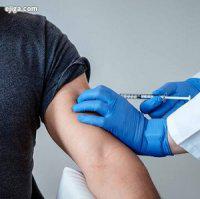 مجوز برای کارآزمایی بالینی فاز ۳ واکسن کرونا پاستور