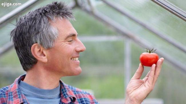 چرا ژن‌های گوجه فرنگی بیشتر از انسان است؟