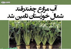 آب مزارع چغندرقند شمال خوزستان تامین شد