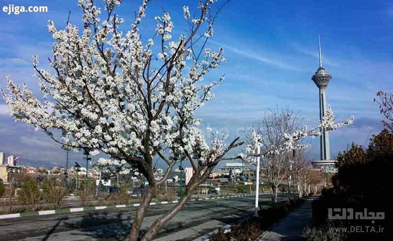 تهرانگردی در بهار
