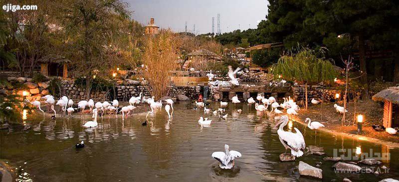 بازدید از باغ پرندگان در تهرانگردی در بهار