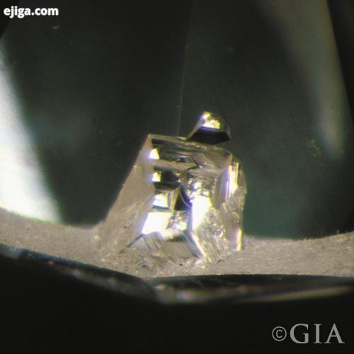 اینکلوژن دندانه ای intended natural در الماس