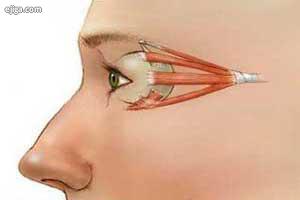 تمریناتی برای تقویت عضلات چشم 