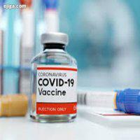 ۳ واکسن کرونا در مرحله فاز بالینی قرار دارد
