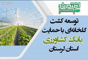 توسعه کشت گلخانه‌ای با حمایت بانک کشاورزی استان لرستان