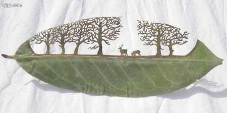 هنرنمایی با برگ درخت (عکس)