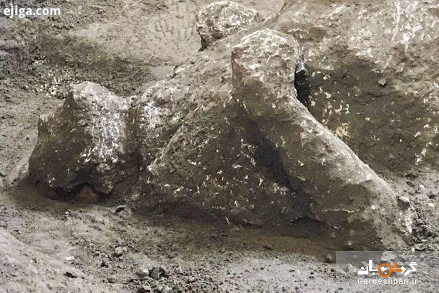 کشف بقایای تقریبا سالم دو مرد در «پمپئی»