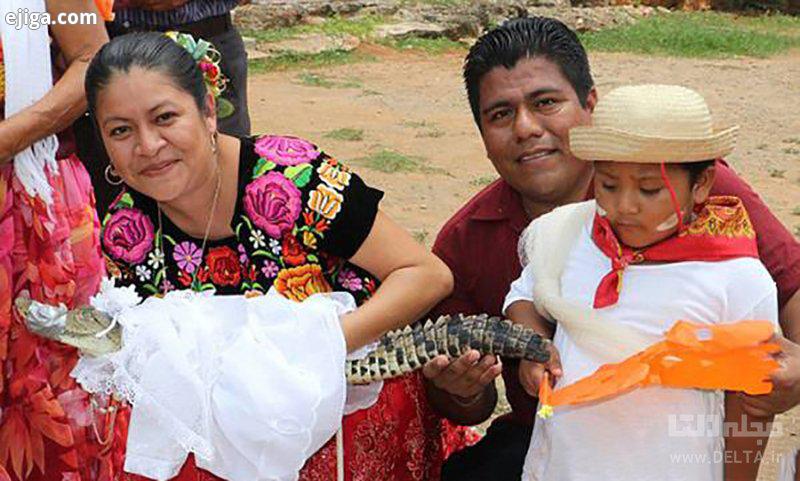 ازدواج با تمساح در مکزیک