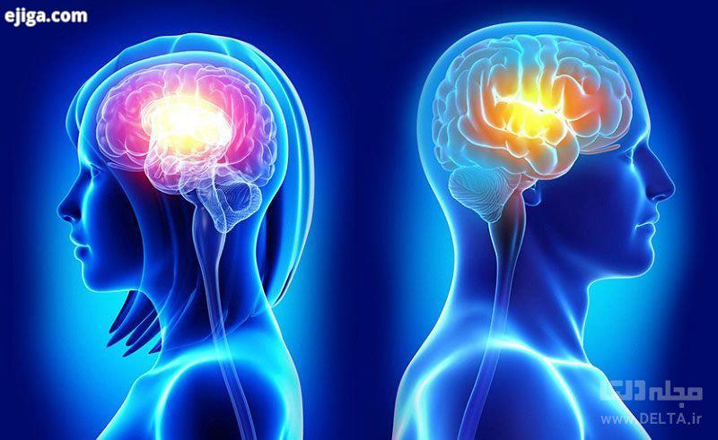 تفاوت‌های مغز زنان و مردان