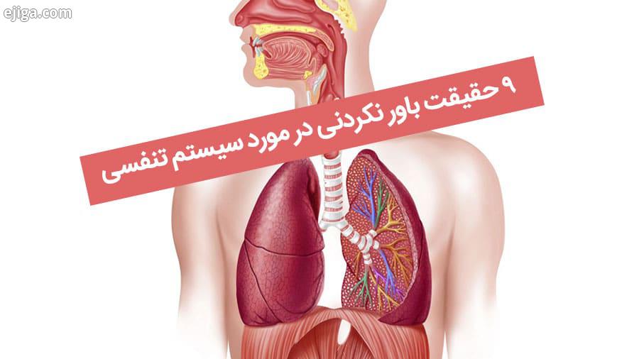 9 حقیقت باور نکردنی در مورد سیستم تنفسی
