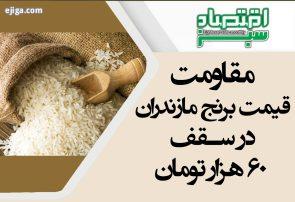 مقاومت قیمت برنج مازندران در سقف ۶۰ هزار تومان