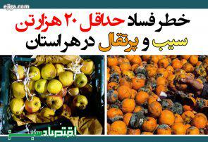 خطر فساد حداقل ۲۰ هزار تن سیب و پرتقال در هر استان/ راهی جز دفن میوه‌ها نداریم