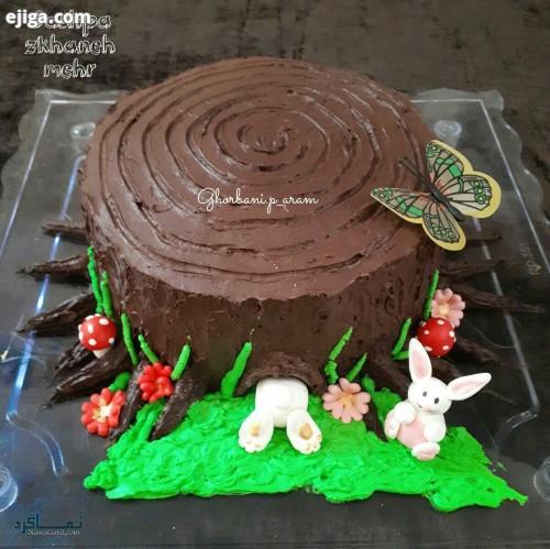 عکس های کیک تولد شاخ باکلاس