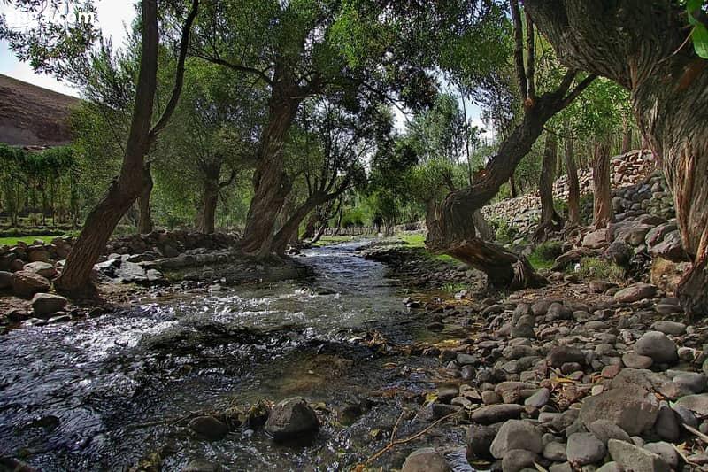 روستای لیقوان