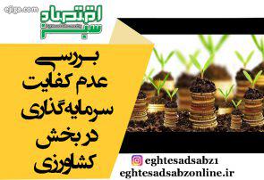بررسی عدم کفایت سرمایهگذاری در بخش کشاورزی بررسی عدم کفایت سرمایهگذاری در بخش کشاورزی