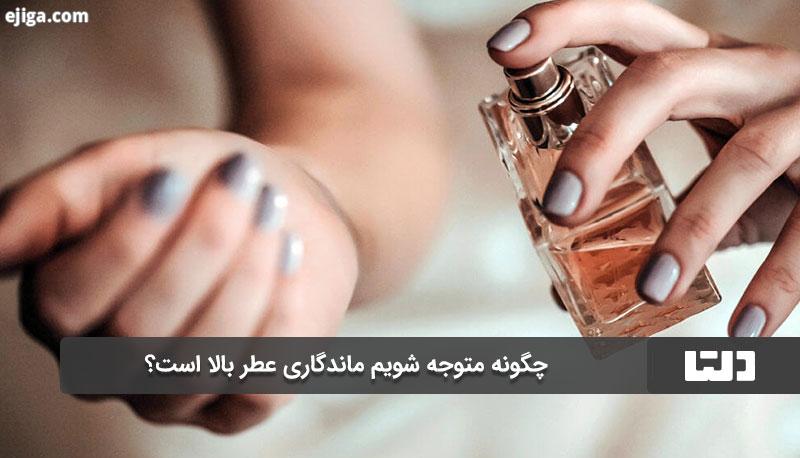 تأثیر نت‌های بویایی در انتخاب ماندگارترین عطر