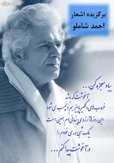 احمدشاملو,بیوگرافی احمد شاملو