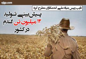 پیش‌بینی تولید ۱۲ میلیون تن گندم در کشور