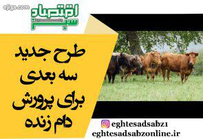 طرح جدید سه بعدی برای پرورش دام زنده طرح جدید سه بعدی برای پرورش دام زنده