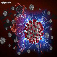 پزشک فوق تحصص ریه: ویروس کرونا دست ساخت بشر نیست